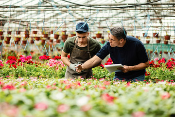 Plant nursery manager and young worker examining growth of potted flowers.