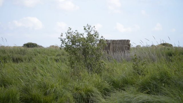 Marais de la Bi&egrave;re