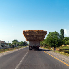 Truck loaded with hay on the road © Vastram