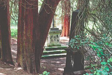Kaputter Grabstein mit Beschädigungen auf einem Friedhof in grün
