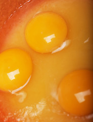 Raw egg in a bowl close up picture, food concept