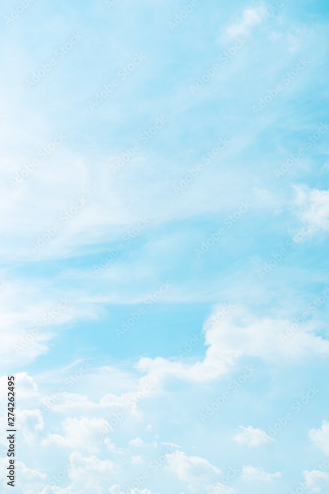 Canvas Prints web banner spring and summer season with beauty clear and bright sky and cloudy background with copy