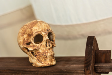Medieval scary old human ceramic skeleton on a wooden shelf in the room as a decoration.  Close up, selective focus