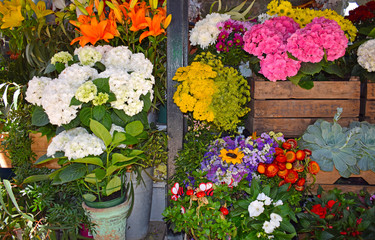 Flores variadas en las Ramblas de Barcelona