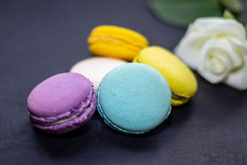 Macaroon cakes of different colors lie on a dark background, next to a white rose. 