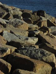 Bed of rocks on a beach