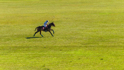 Equestrian Polo Player Horse Field Action.