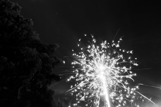 Fireworks in Black and White