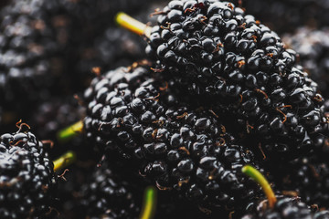 Ripe and fresh fruit of black mulberry, healthy food of juicy mulberry fruit. Close-up, the texture...