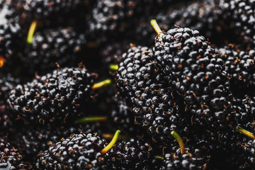 Ripe and fresh fruit of black mulberry, healthy food of juicy mulberry fruit. Close-up, the texture...