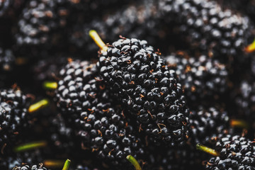 Ripe and fresh fruit of black mulberry, healthy food of juicy mulberry fruit. Close-up, the texture...