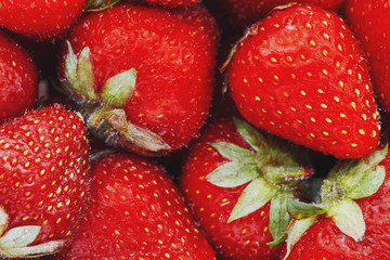 Juicy, ripe natural red strawberries without GMO. Strawberry - full frame. Close-up