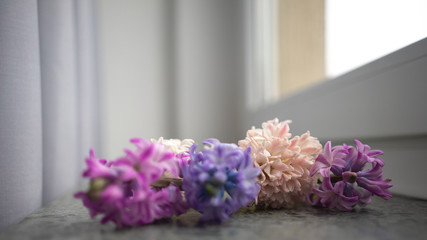 Fresh hyacinth spring flowers bouquet. On a wooden table