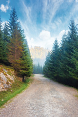 Fototapeta na wymiar gravel road through forest in mountains. spruce trees along the way. foggy autumn weather with bright blue sky and clouds. discover new destinations concept
