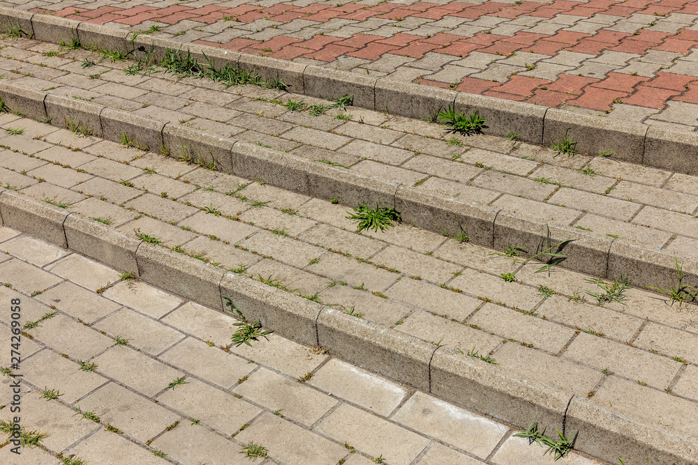 Canvas Prints street background of old paving stone. background of old cobblestone pavement close-up. old paving t