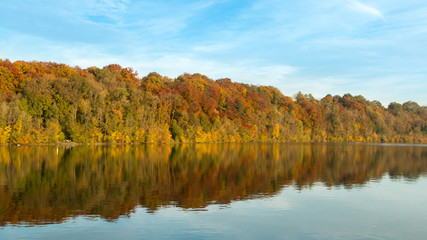 Forest, Lake, Autumn