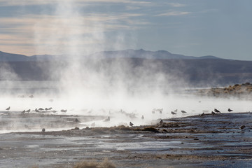 Aguas termales de Polques, hot springs with a pool of steaming natural thermal water in Bolivia