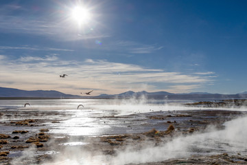 Aguas termales de Polques, hot springs with a pool of steaming natural thermal water in Bolivia