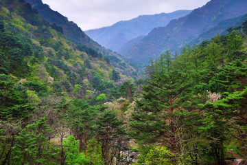 Obraz premium North Korea. Myohyangsan scenery