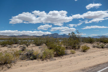 Fototapeta na wymiar Desert Landscape Vista with Bushes