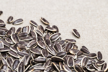 High quality seeds of sunflower on bagging with copy space. Not peeled seeds. Selective focus.