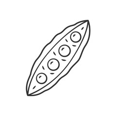 Pea pod linear icon