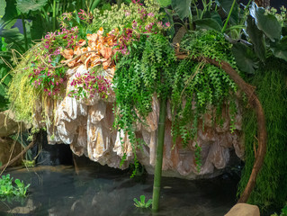 plant in hostile environment in the jungle