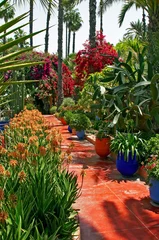 Traditioneller Garten in Marrakesch Marokko mit bunter und exotischer Bepflanzung © Garden Guru