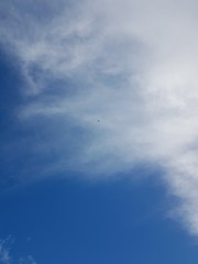 blue sky with clouds