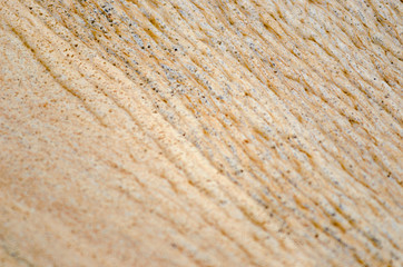 Abstract photo of approximate yellow foam on the water surface.