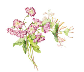 Watercolor bouquet with primroses and flowers of honeysuckle perfoliate.