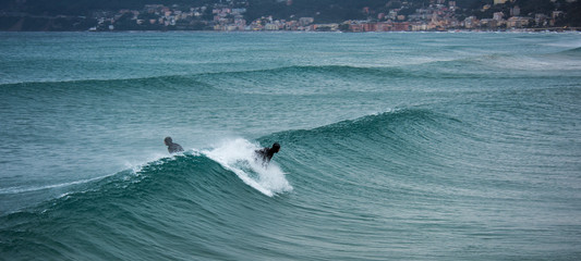 Surfer on a wave