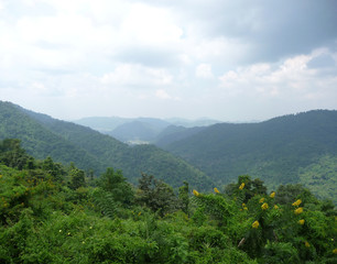 Fototapeta na wymiar Vue panoramique Parc National Khao Yai (ThaÏlande)
