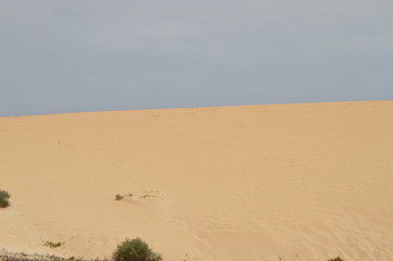 Beautiful Virgin Sand Desert In The Dunes In Corralejo. July 8, 2013. Corralejo Fuerteventura Canary Islands. Nature Vacation
