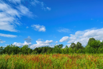 Fototapeta na wymiar Beautiful summer landscape green meadow blue sky clouds.