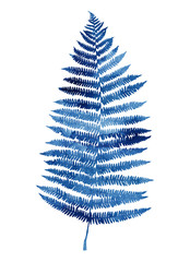 Watercolour fern isolated on white background.