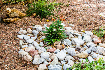 Back patio styles  and shrubs and stones in New Mexico