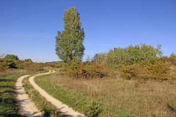 Fototapeta na wymiar Landschaft im Burgenland im Herbst