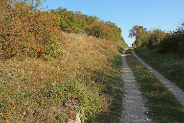 Fototapeta na wymiar Weg im Burgenland im Herbst