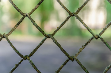 Old metal fence chain links on green background, metal mesh