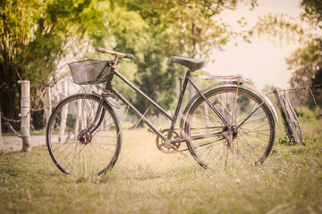 Fototapeta na wymiar Bicycle in the field