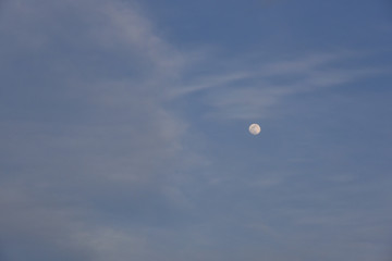moon in the sky