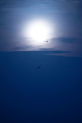 moon over the sea