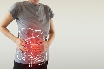 highlighted internal organs with some illness