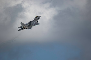 Raptor in Flight