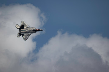 Raptor in Flight