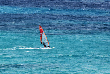 Windsurfer in action. Windsurfer in the sea. Windsurfing.