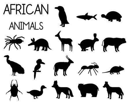 African animal silhouettes set of icons in flat style, African fauna, dwarf goose, African vulture, buffalo, gazelle Dorcas, etc. vector illustration
