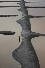 Marais salants à L'ïle d'Olonne en Vendée