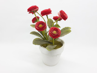 Red Flowers Green Leaves Plant with Ceramic Pot in White Isolated Plant